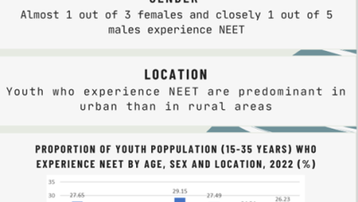 Youth Not in Employment, Education or Training (NEET)